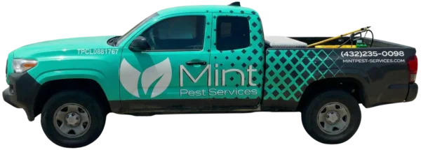 Pest, Rodent, Mosquito, & Termite Control in Midland & Odessa, TX